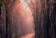 水晶宫主场告捷，成功保持不败