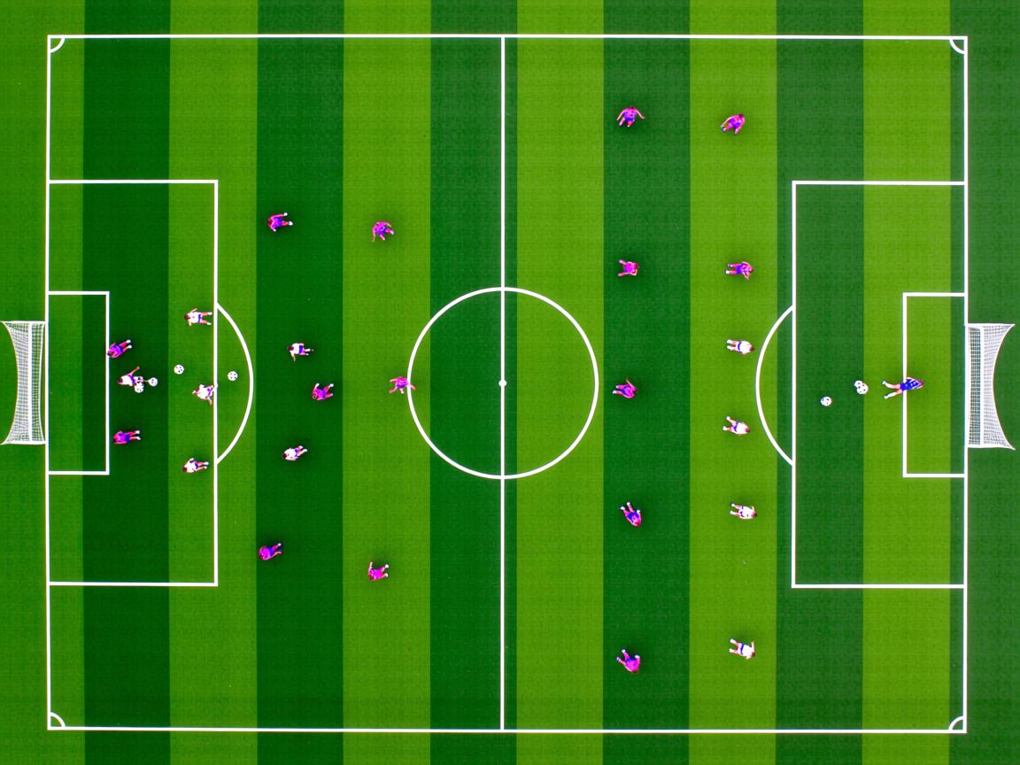 九游体育官网入口-亚冠联赛国足夺冠 球迷情绪空前高涨，亚冠中国足球  第3张